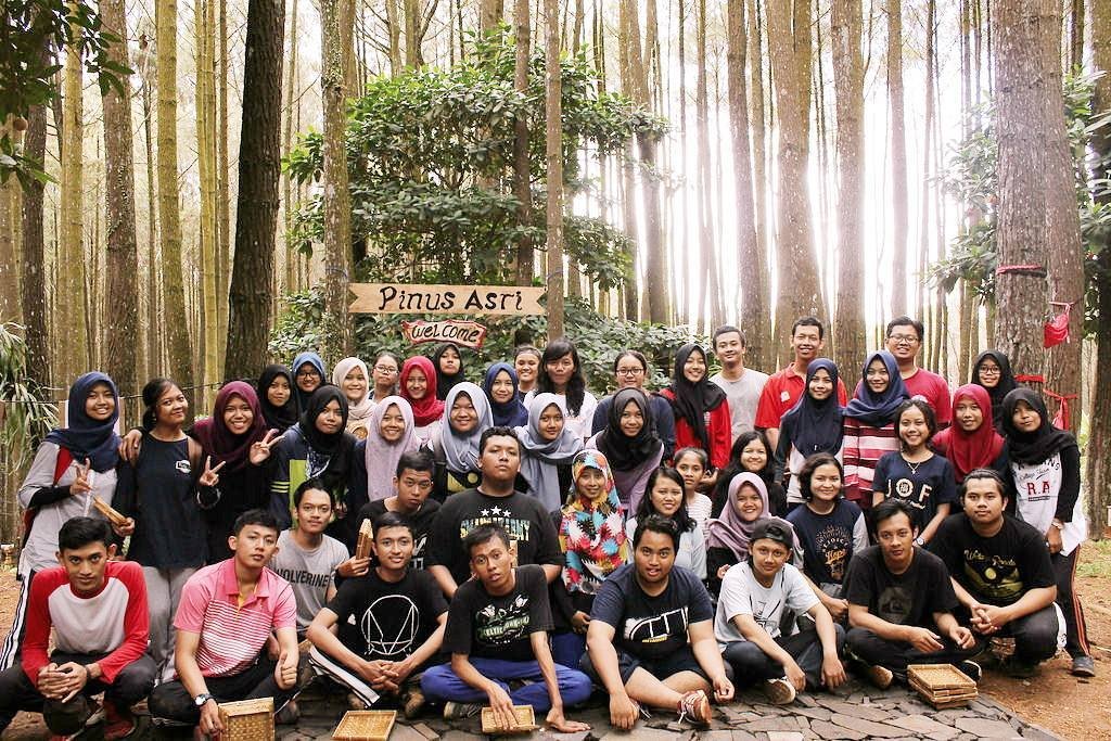 Hutan Pinus